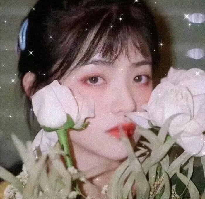 酝酿复仇