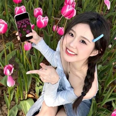 爱美丽狂想曲国语