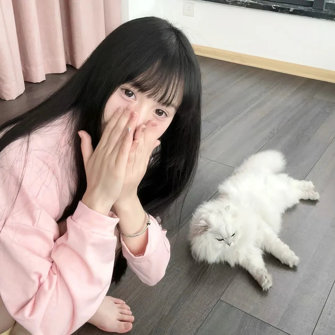 人生战术本